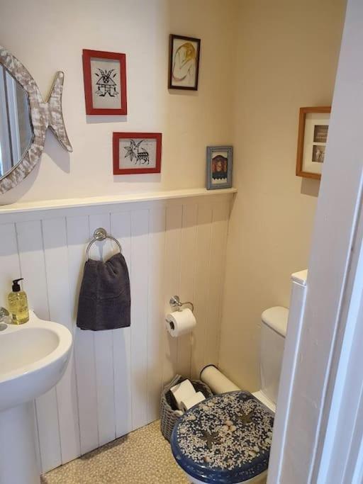 St Andrews Town - 3 Bed House With Large Gardenヴィラ エクステリア 写真